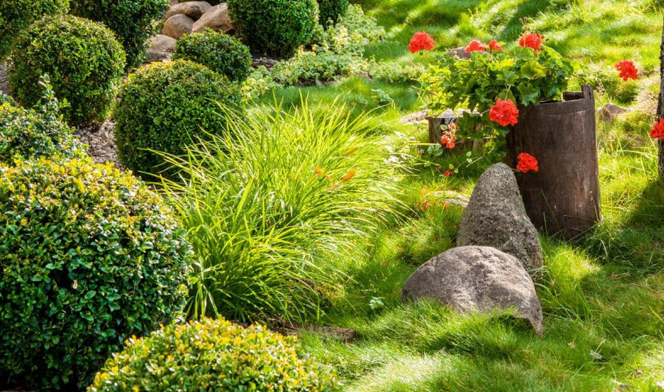 Landscaping Garden Design